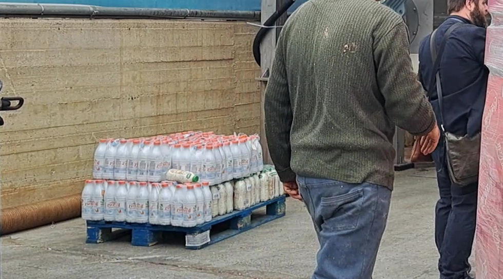 Milk